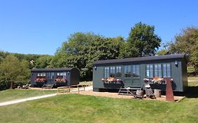 Hog Deer Creek - At Port Lympne Reserve